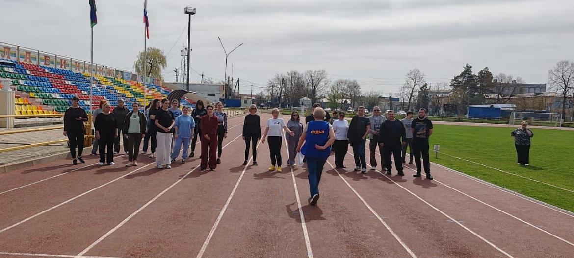 Фестиваль ГТО в Лабинском районе